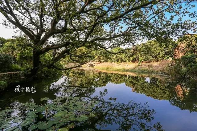 QQ截图20170505111741